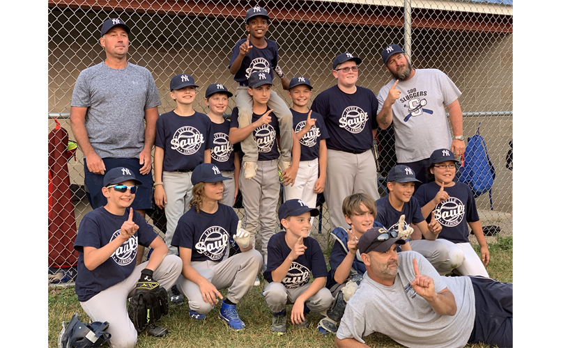 Sault Area Little League > Home